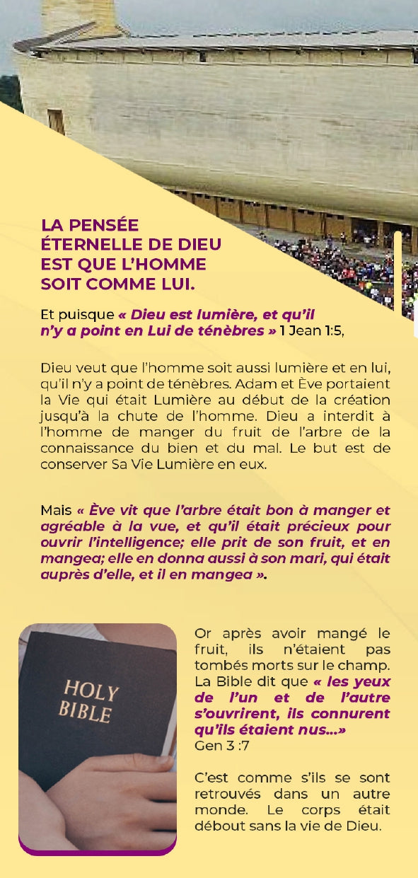 LA CONNEXION DE VIE: Un traité biblique qui t'aidera à gagner les hommes et femmes d'affaire à Christ.