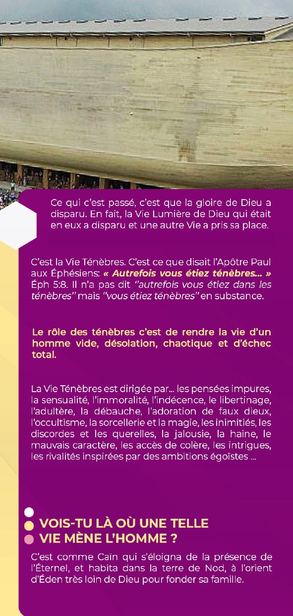 LA CONNEXION DE VIE: Un traité biblique qui t'aidera à gagner les hommes et femmes d'affaire à Christ.