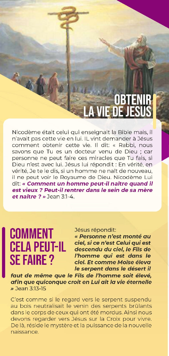 LA CONNEXION DE VIE: Un traité biblique qui t'aidera à gagner les hommes et femmes d'affaire à Christ.